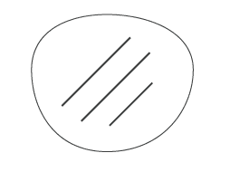 Anti-Reflective Coating - Vooraya